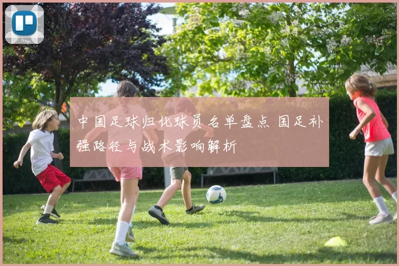 中国足球归化球员名单盘点 国足补强路径与战术影响解析