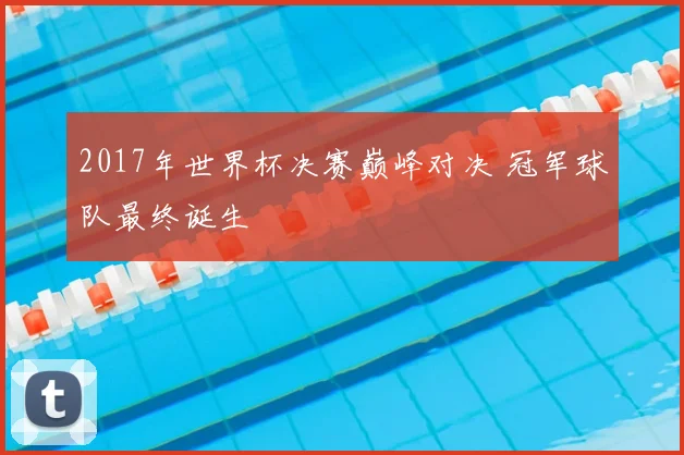 2017年世界杯决赛巅峰对决 冠军球队最终诞生